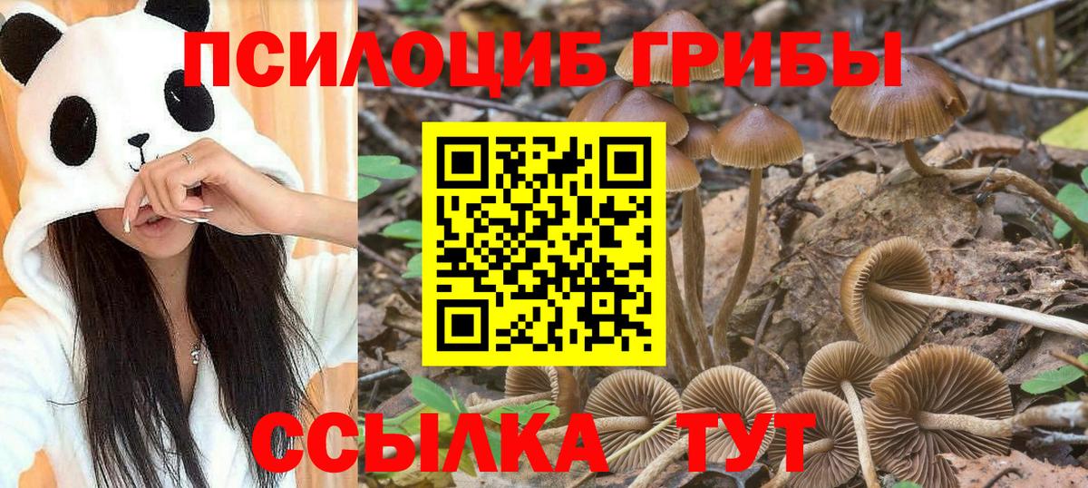 Нягань  Псилоцибиновые грибы мухоморы  Вход с VPN 